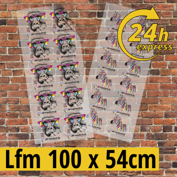 DTF Transfer 1 Lfm EXPRESS 24h